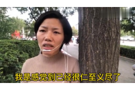 锦州融资清欠服务